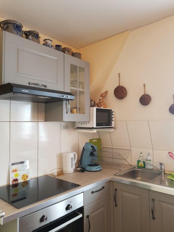 Apartament Ganzaliesele Colmar Zewnętrze zdjęcie
